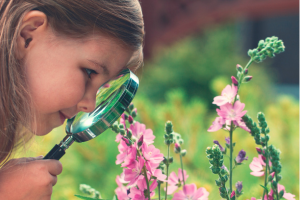 child inspecting flowers with magnifying glass