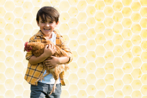 Preschool boy holding a chicken