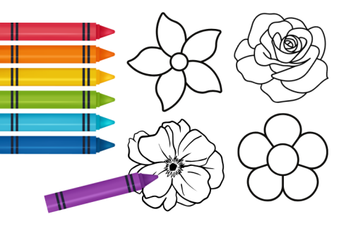 Four black outlines of flowers and seven crayons in different colors
