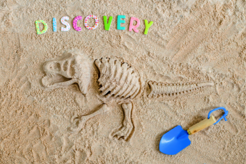 Outline of dinosaur bones in beach sand