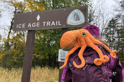 Hiker next to "Ice Age Trail" sign
